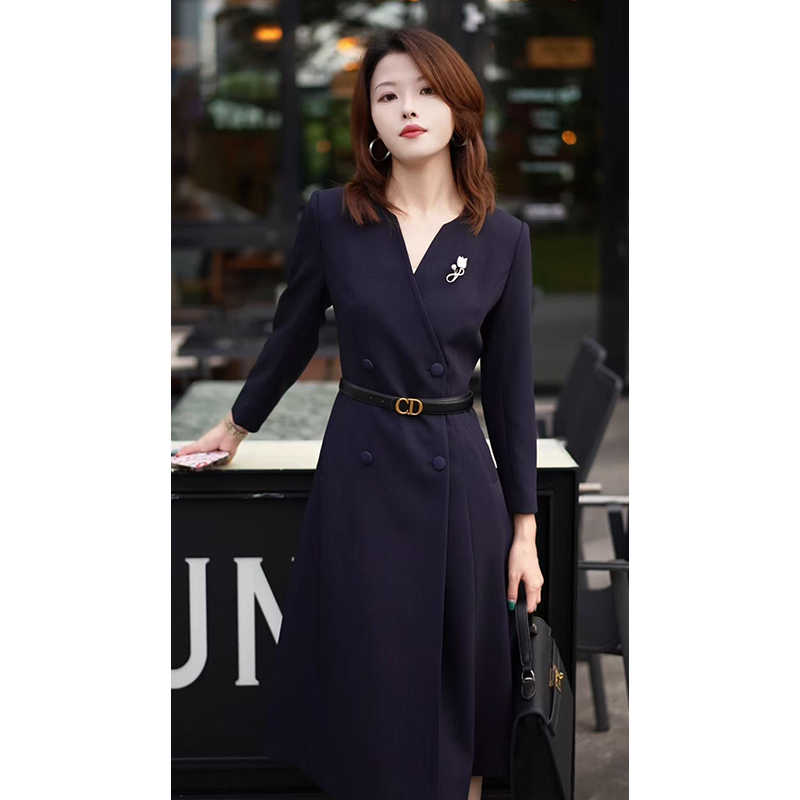 气质长袖时尚秋冬收腰A字裙子显瘦连衣裙女神范通勤