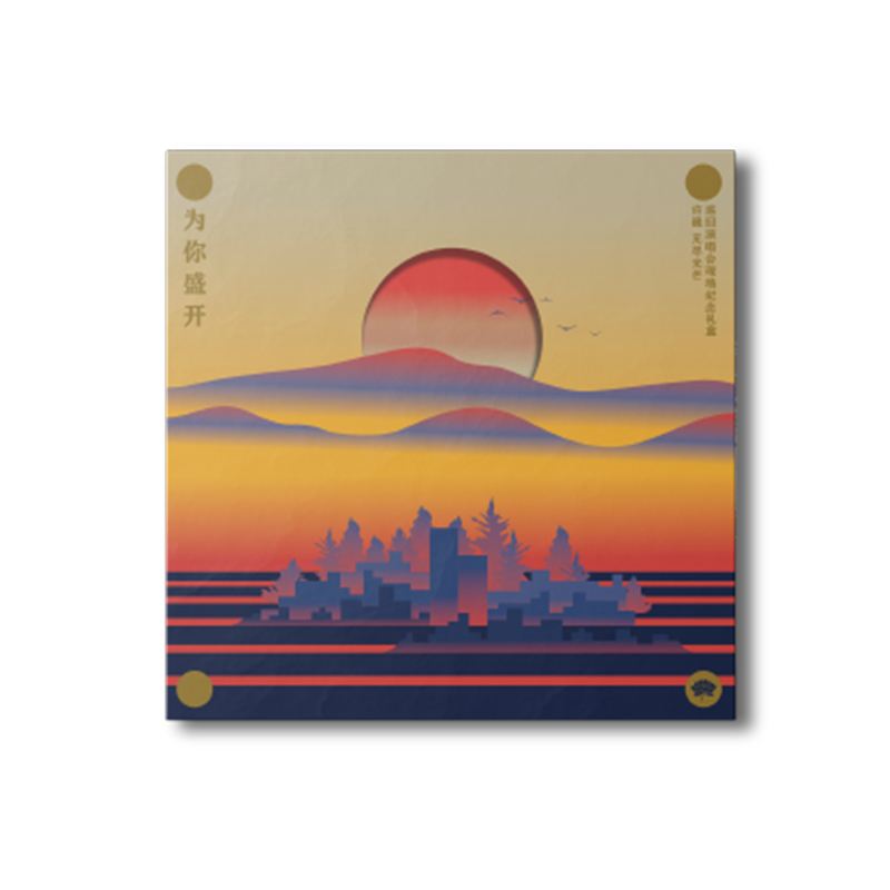 为你盛开——许巍无尽光芒巡回演唱会现场纪念黑胶礼盒