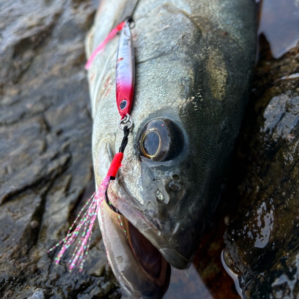 【带钩】三代飘落远投路亚假饵翘嘴海鲈鲅鱼刀鱼