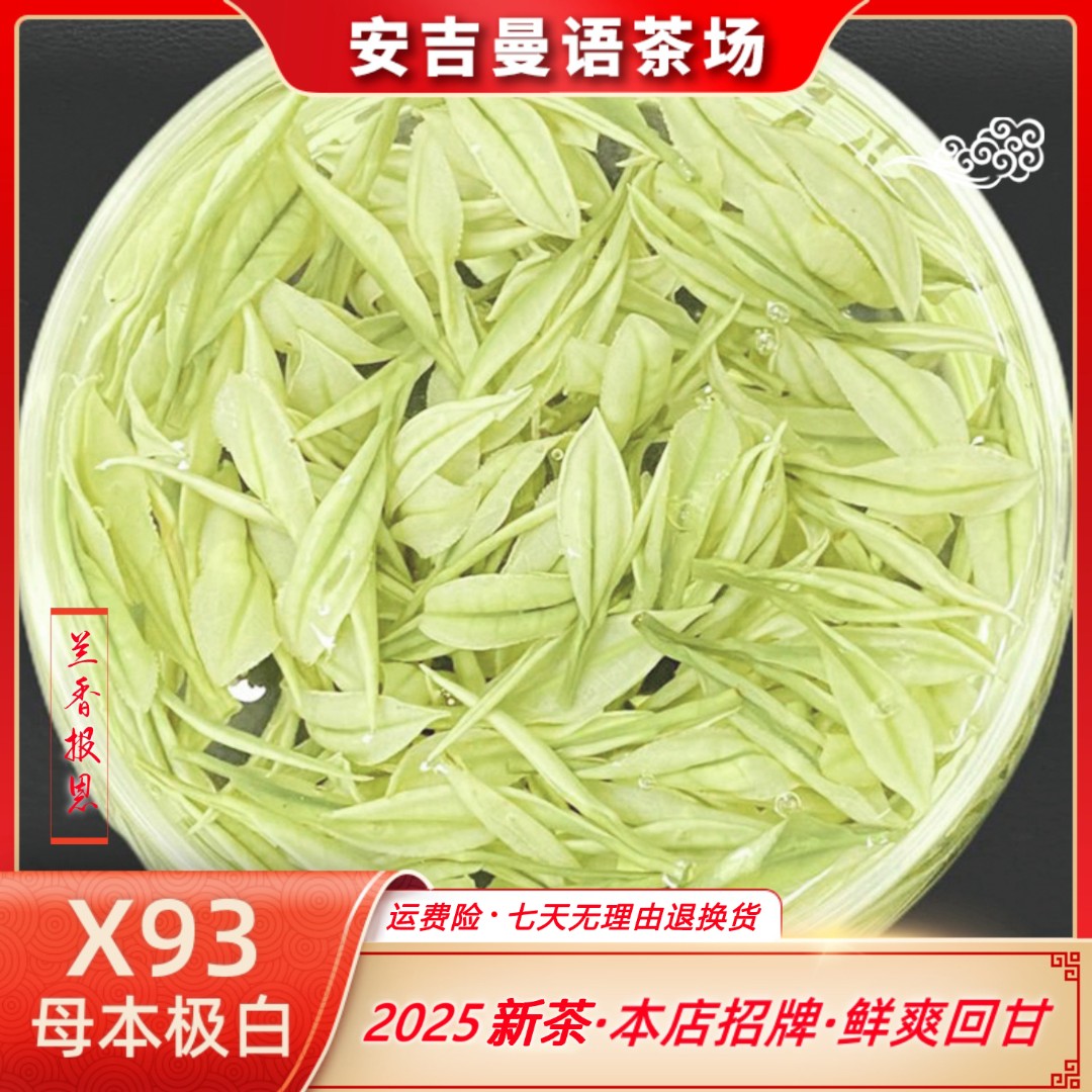 2025新茶【玉叶金柯X93】安吉白茶 母本极白 兰花香 明前茶 春茶