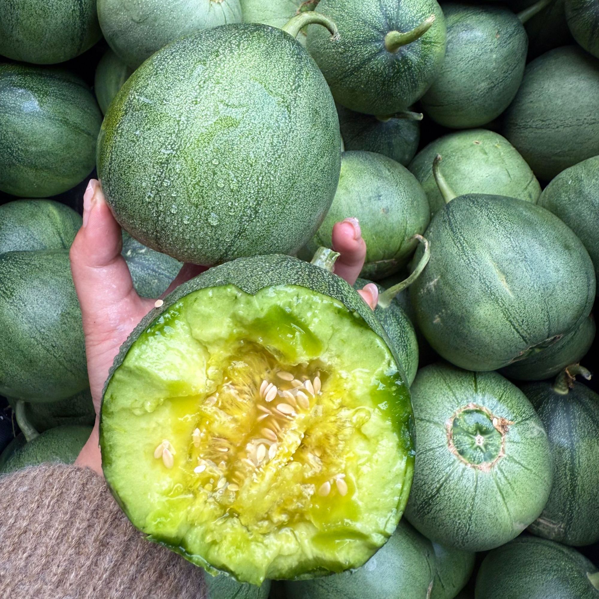 【脆甜多汁】山东头茬绿宝甜瓜 现摘现发 应季新鲜水果净重5斤