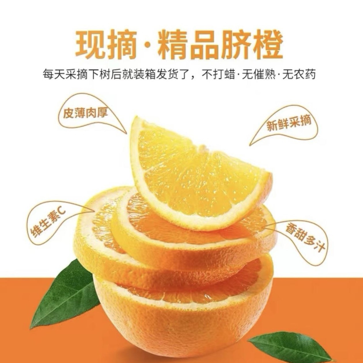 正宗赣南脐橙新鲜现摘现发