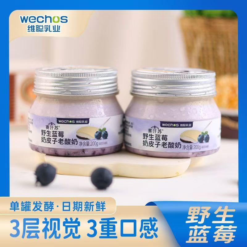 赛汗苏野生蓝莓奶皮子老酸奶200g