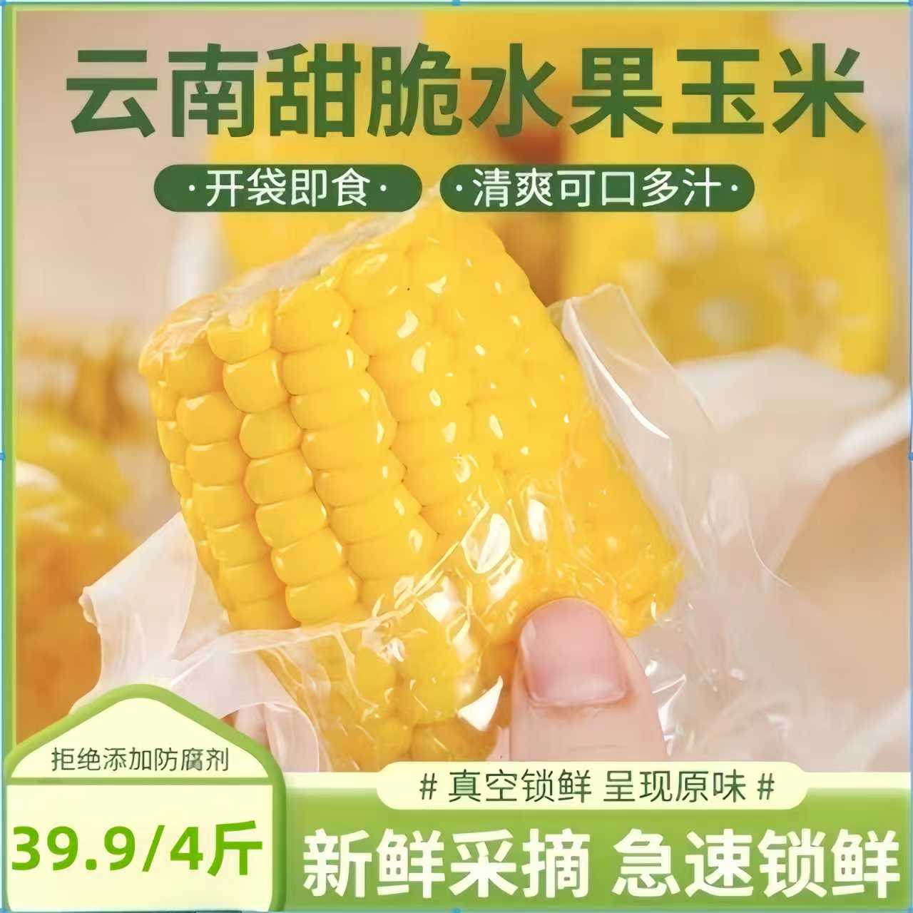 【开袋即食】云南水果玉米轻食开袋即食独立装到手四斤26年4月到期