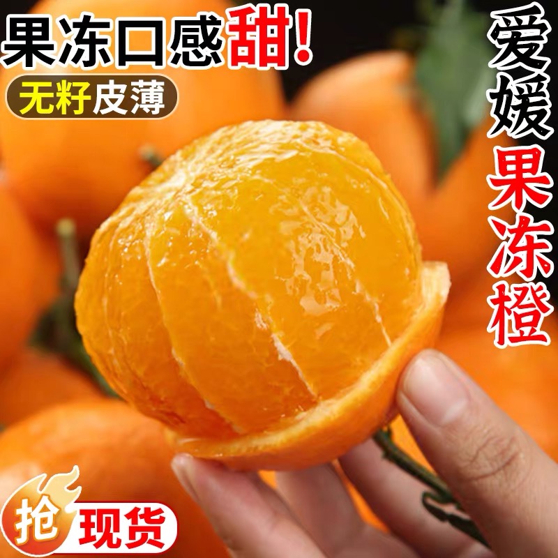 四川眉山爱媛38号蒲江果冻橙新鲜应季果园现摘爆甜多汁孕妇水果