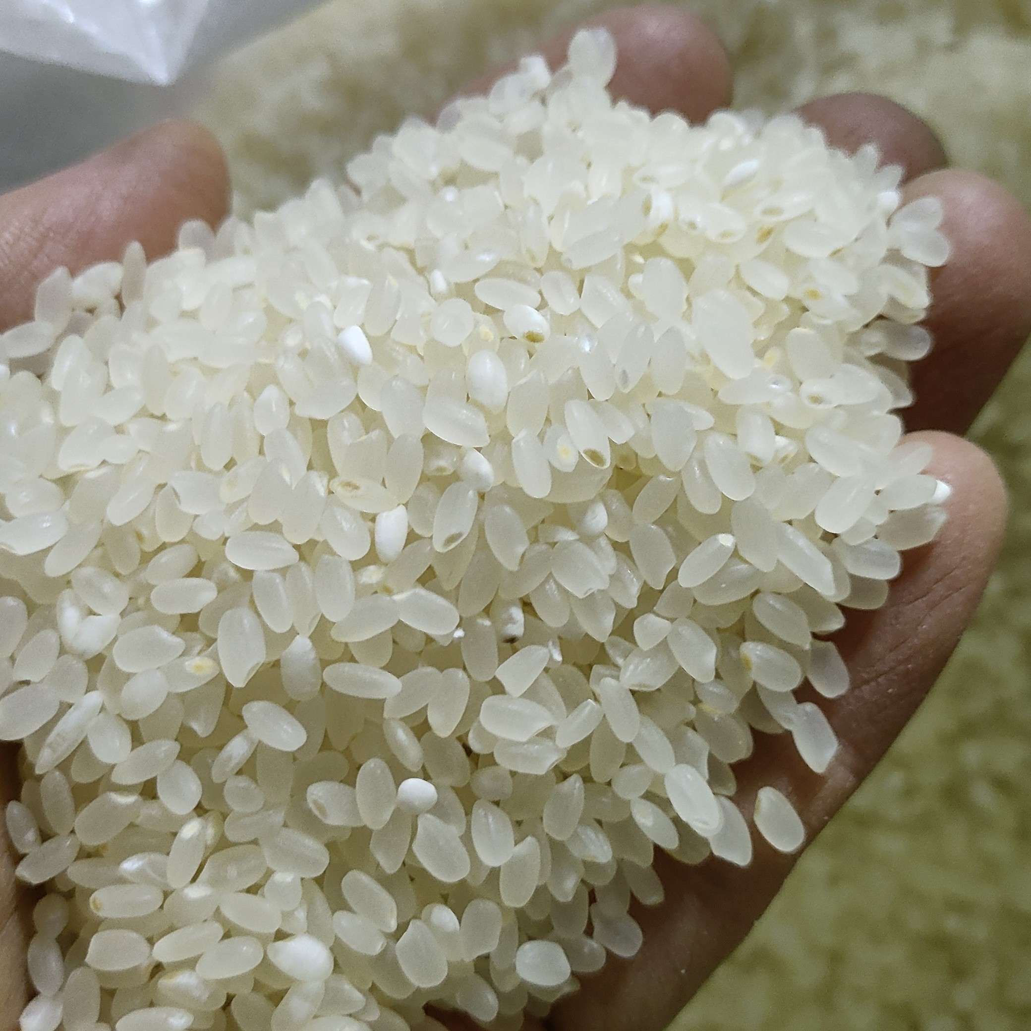 东北楼街农家粗加工新米小町9斤