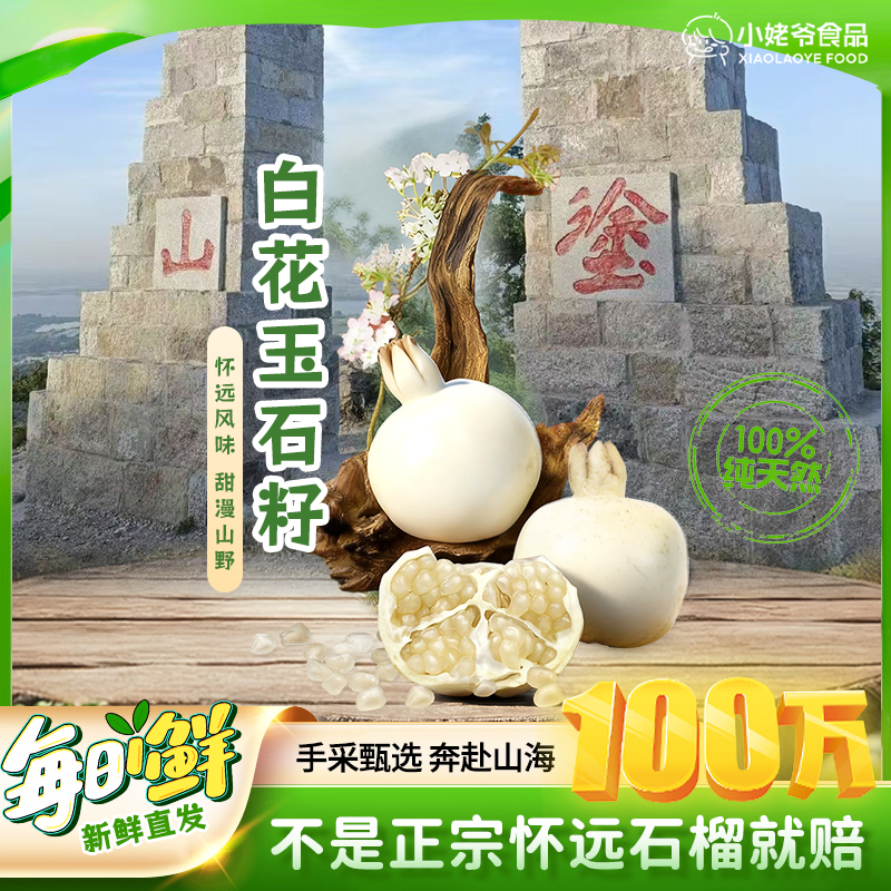 【安徽怀远特产】小姥爷正宗白花玉石籽精品果王新鲜采摘爆甜多汁