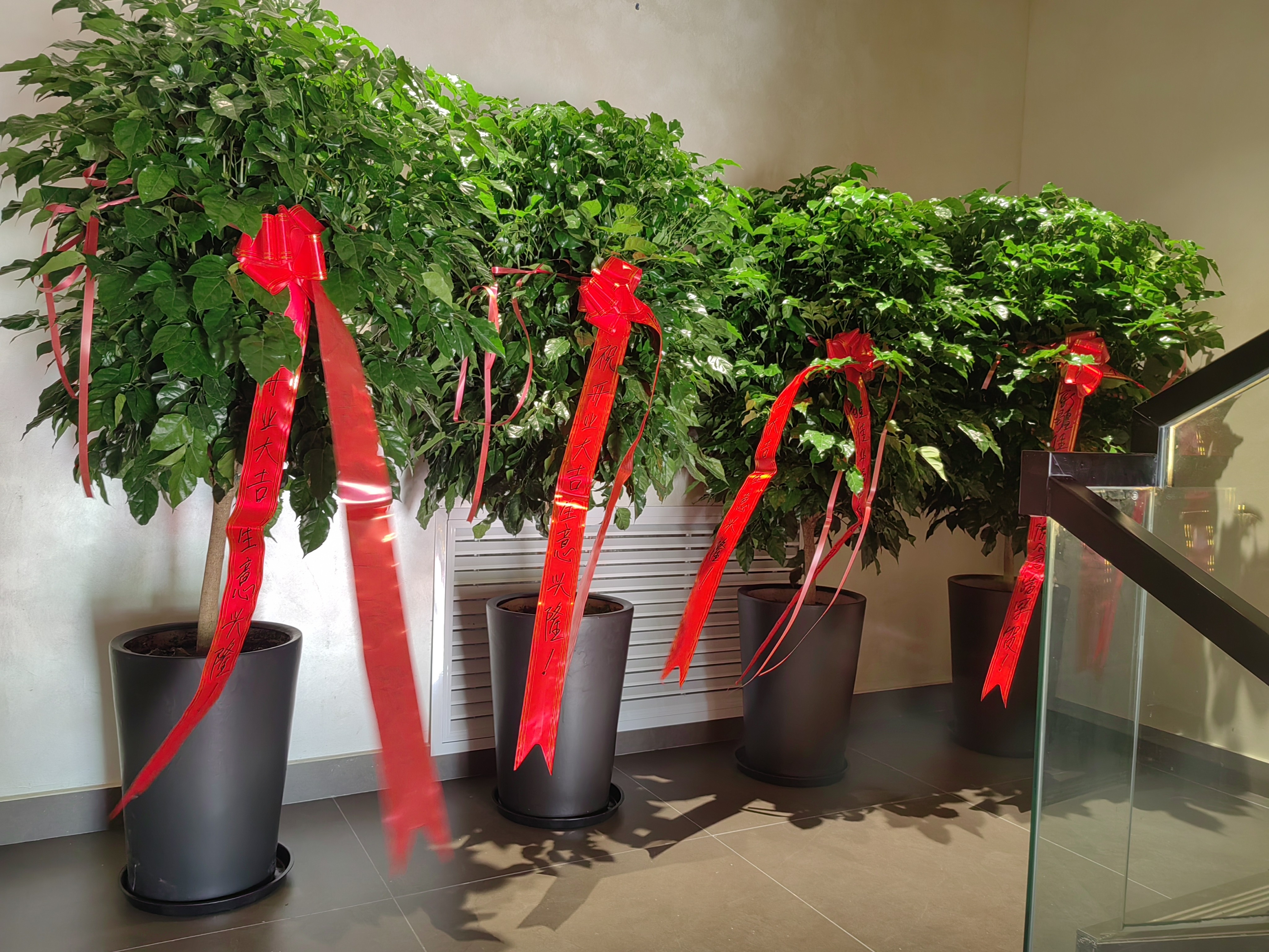 乌市同城发货开业乔迁绿植一小时达：开业乔迁大绿植，开业花篮