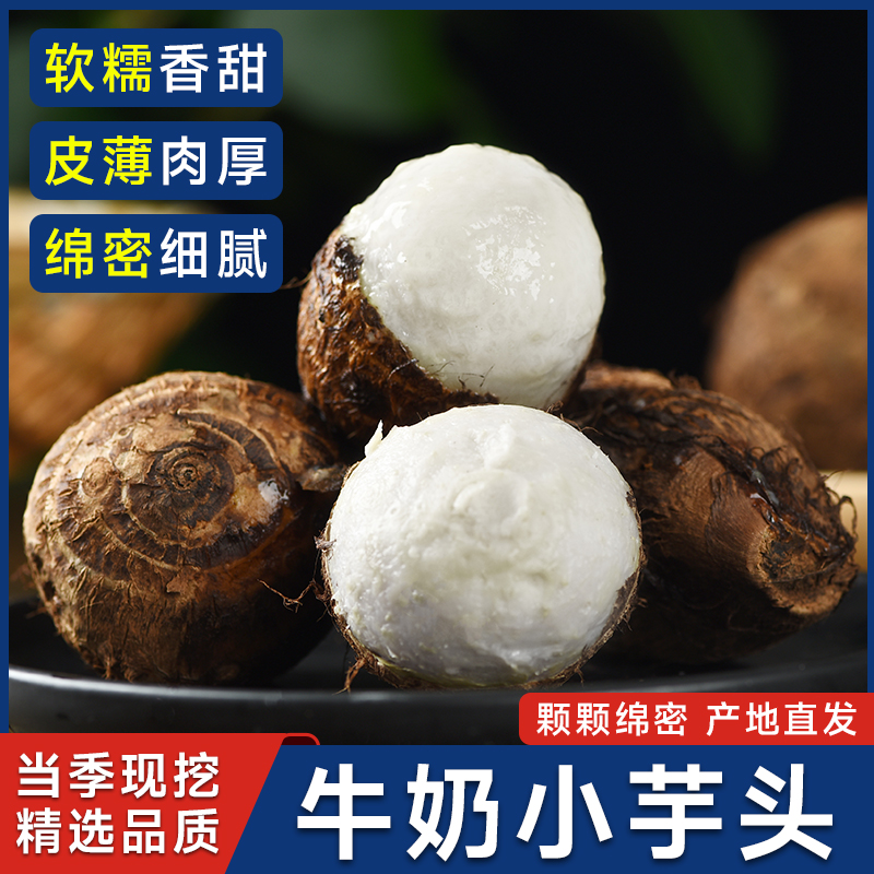 云南牛奶芋头小香芋现挖新鲜毛芋头现挖农家自种奶油芋艿软糯蔬菜