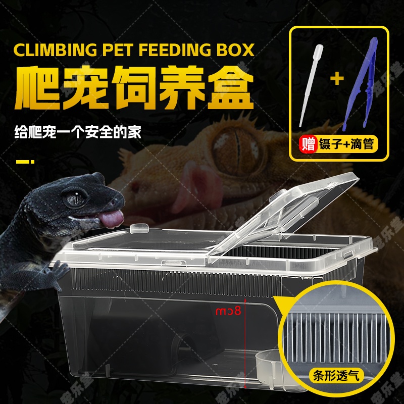爬宠饲养盒箱爬虫二代人渣盒角蛙守宫蛇冬眠寄居蟹蜥蜴蜗牛饲养箱