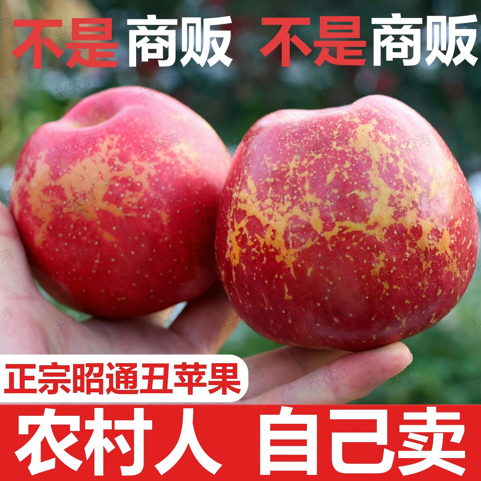 正宗云南昭通正宗丑红富士苹果新鲜当天采摘高山孕妇宝宝新鲜水果