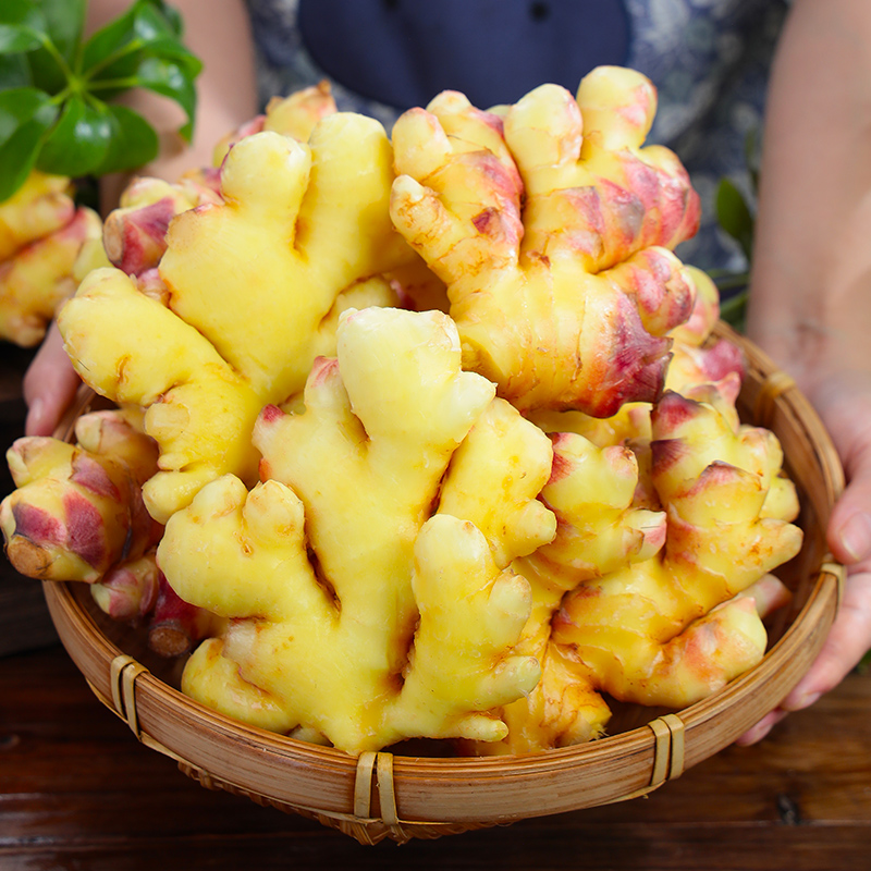 云南高山小黄姜新鲜现挖辛辣农家自种浓郁煲汤炒菜好调料产地直发