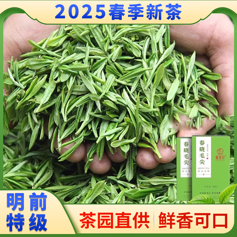 赋雅轩毛峰绿茶2025新茶特一级四川蒙顶山茶明前浓香型春晓毛尖