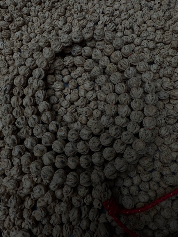 热振一哥《帝天》定制级百香籽