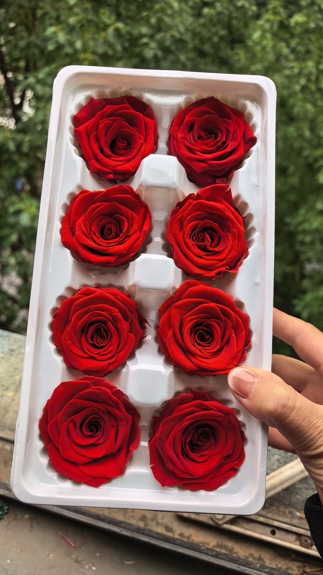 永生玫瑰花头DIY浪漫手工礼盒制作花材