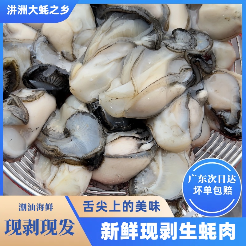 汫洲生蚝肉当天现剥去壳珍珠蚝鲜活牡蛎纯肉广东海蛎子烧烤蚝仔烙