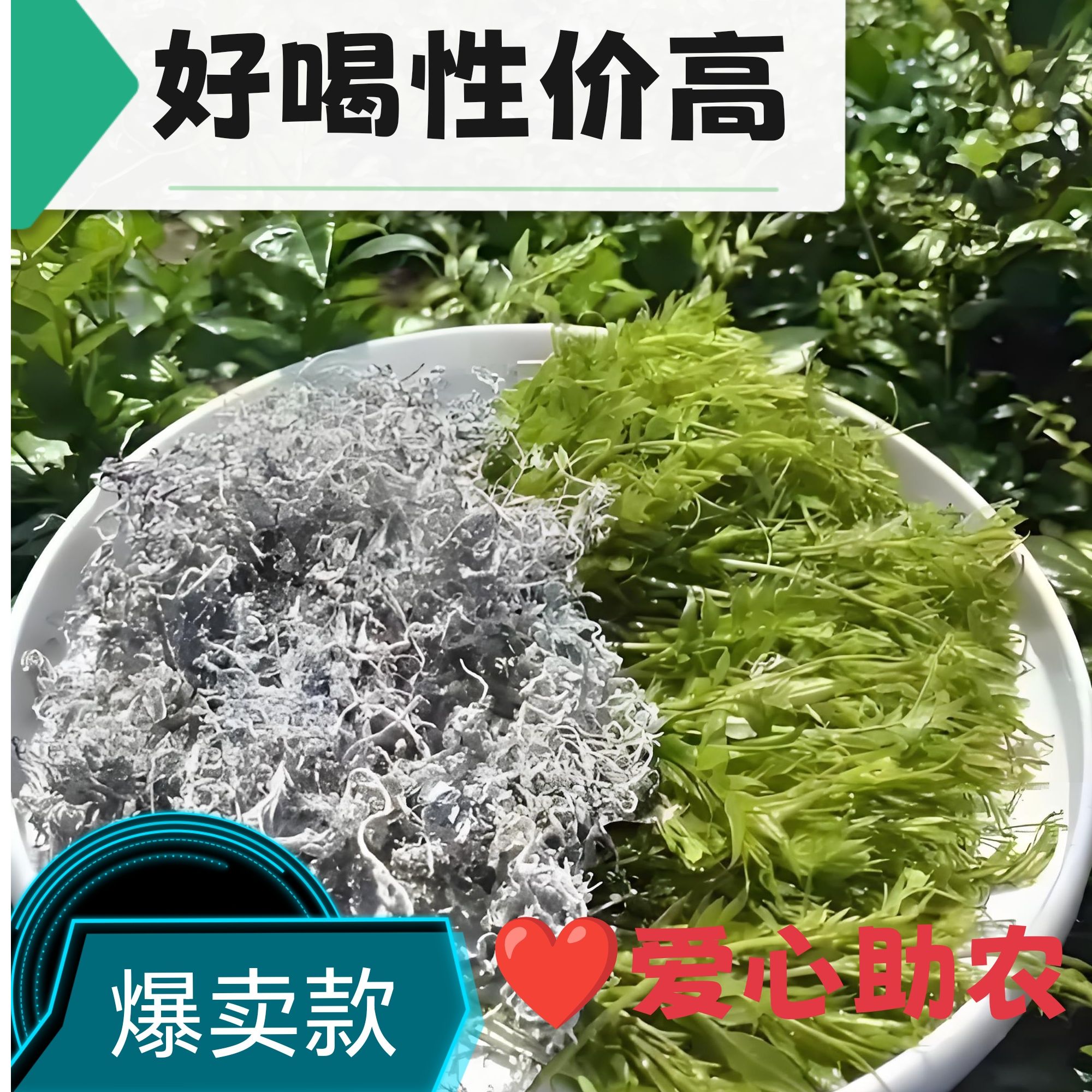 BLX02古莓茶之乡湘西永顺高山龙须芽尖莓茶富硒藤茶农家手工莓茶
