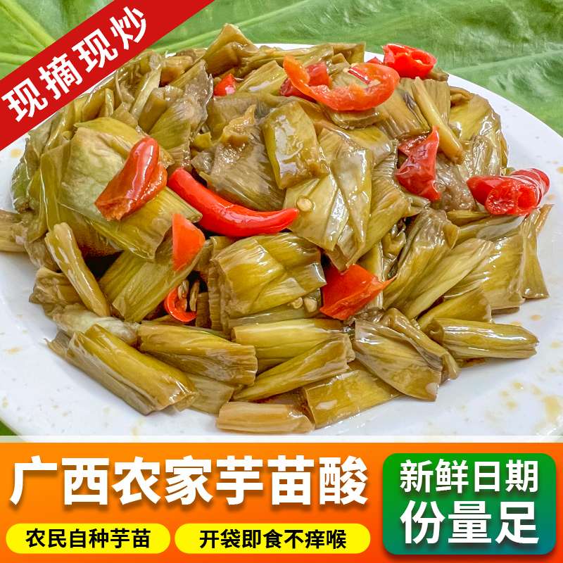广西农家芋苗酸芋苗杆现摘现炒特产美食开袋即食厂家直发新鲜日期