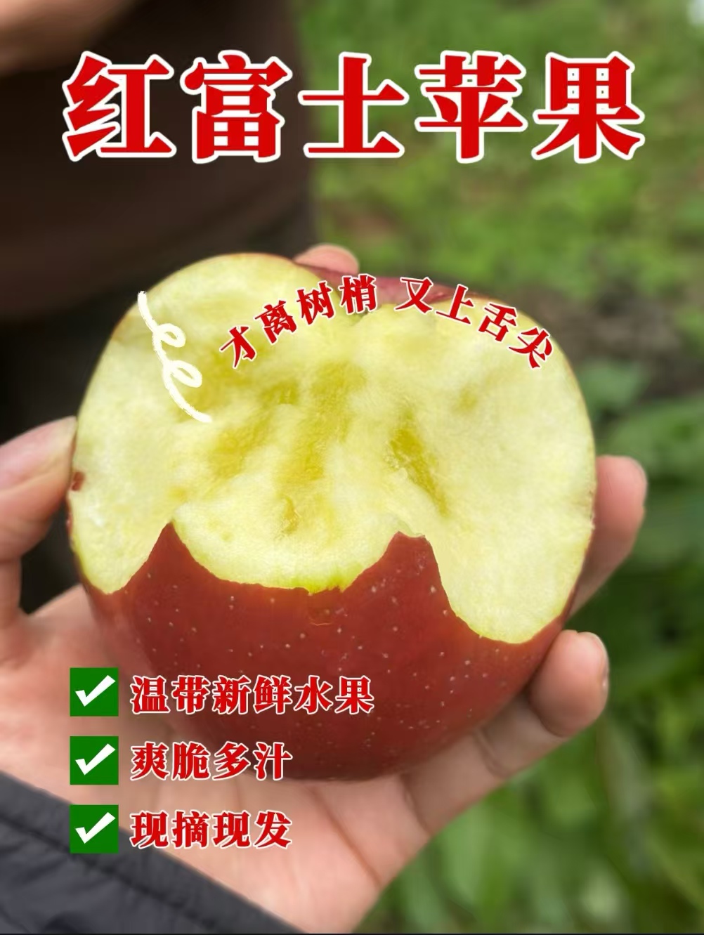 云南昭通丑苹果新鲜现摘脆甜多汁冰糖心水果