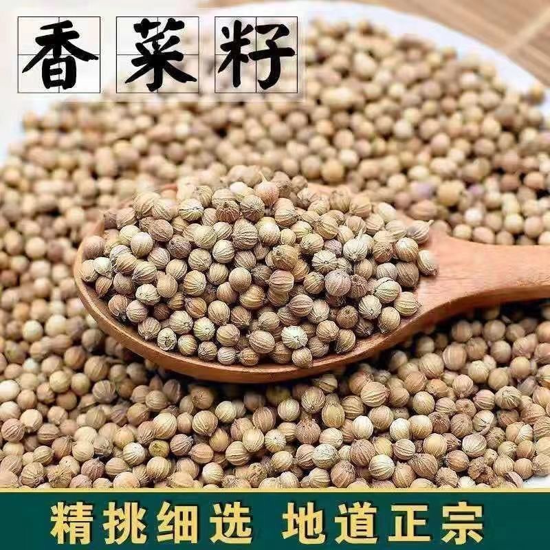 香菜种子大全农家盆栽苗大叶芫荽种籽四季食用香菜籽蔬菜种籽种孑