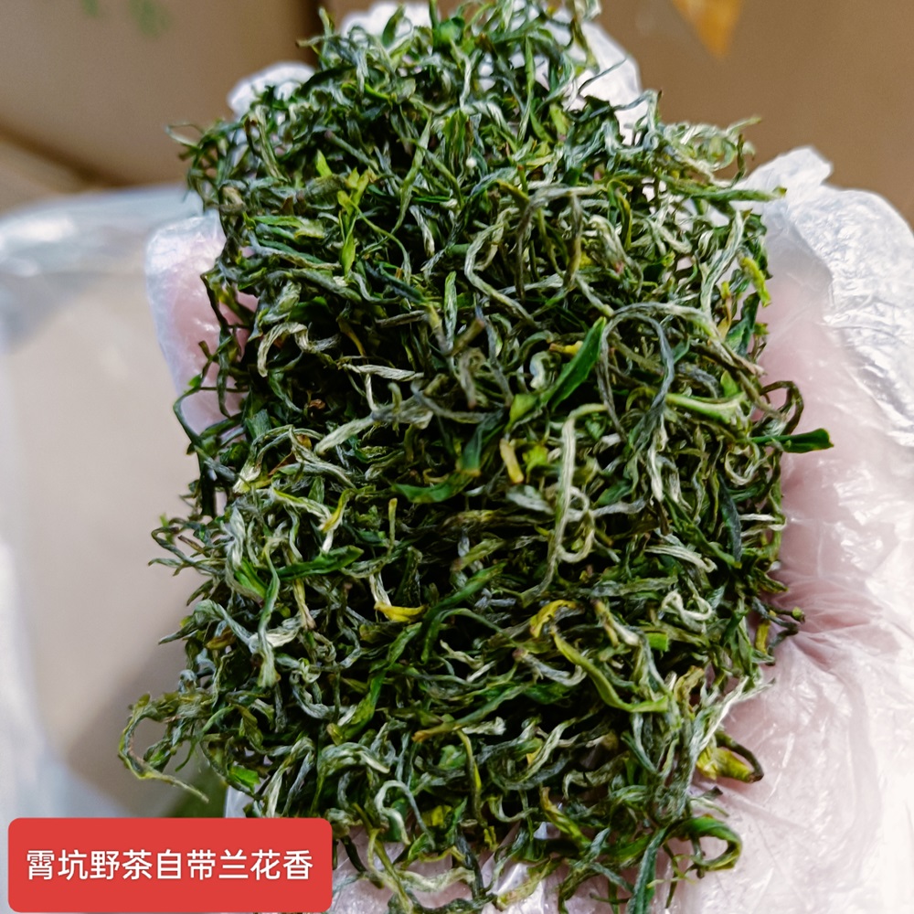 2025年霄坑野茶，杨棚野茶浓香翠绿兰花香野生茶