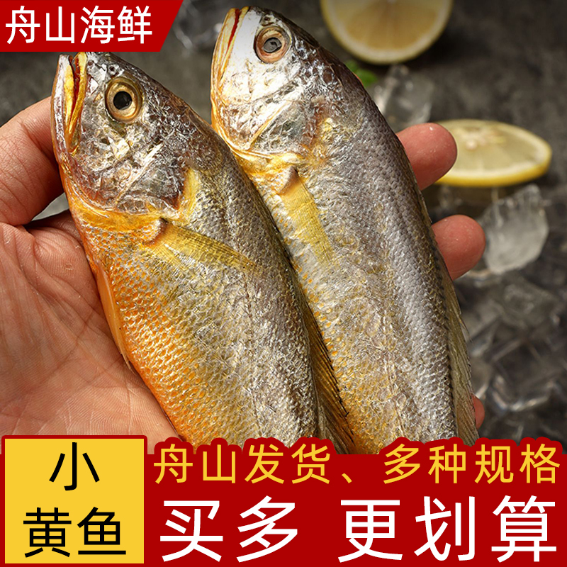 舟山特产小黄花鱼新鲜冷冻烧烤小黄鱼生鲜海鱼海鲜海鱼水产品商用