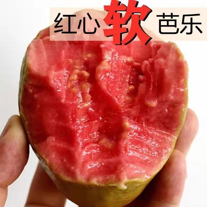 【放软吃】广西红心芭乐软糯红心番石榴新鲜水果奶油白心芭乐