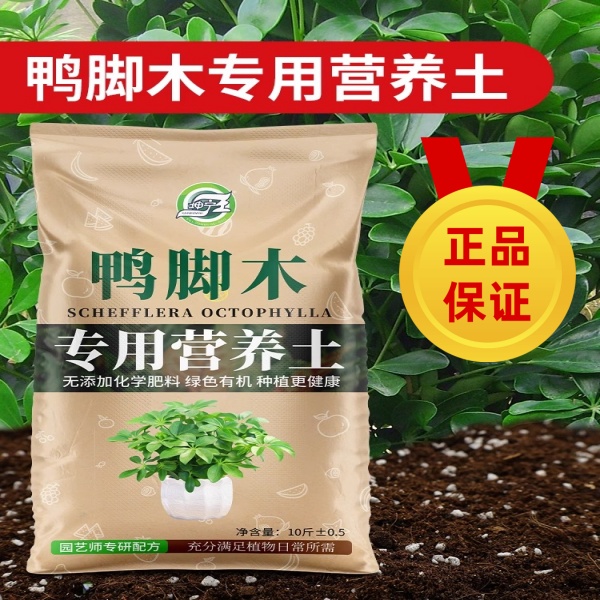 鸭脚木专用营养土有机肥料盆栽种植基质透气肥沃绿植养花土