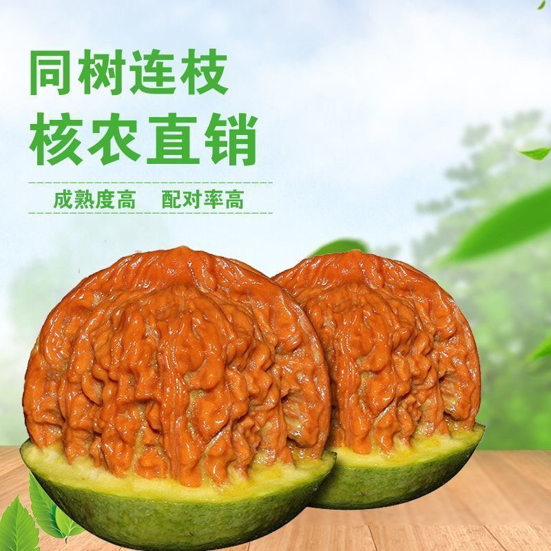 文玩核桃手持猜青皮狮子头四座楼苹果园公子帽虎头盘龙纹官帽帝王