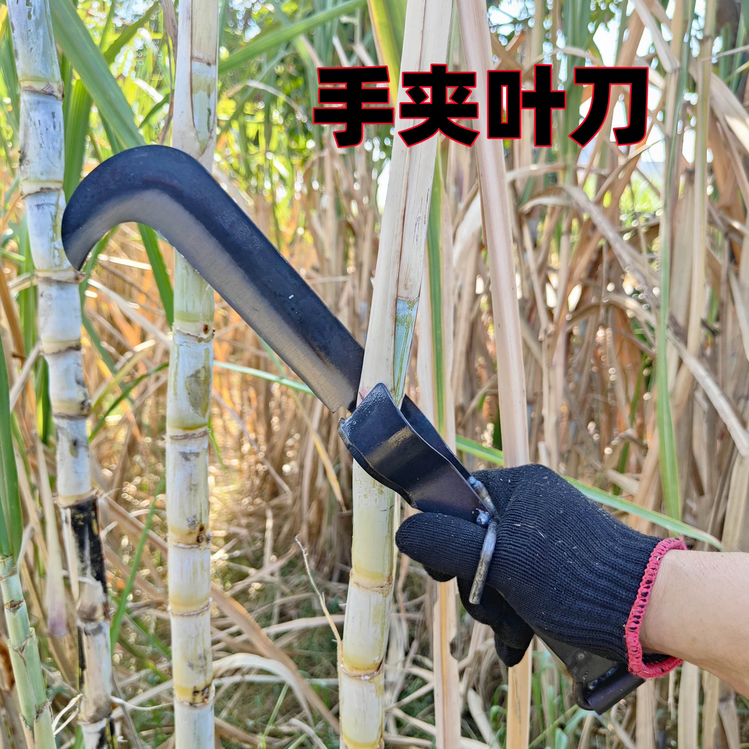 砍收甘蔗夹叶刀快速高效多用途手动推削剥甘蔗叶子修甘蔗专用农具