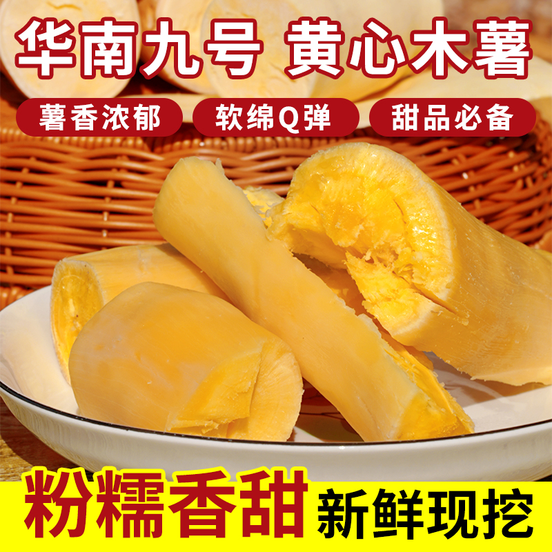 华南9号黄心木薯新鲜现挖现发软糯香甜肉质饱满煲汤糖水店同款