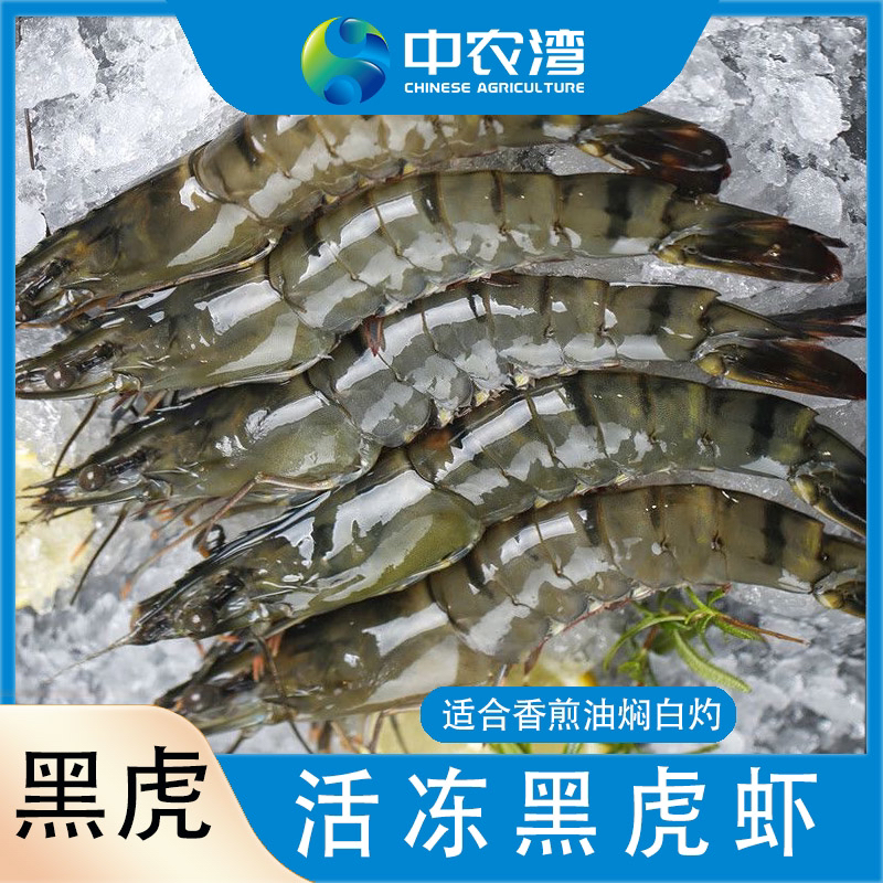 【中农湾】活冻黑虎虾3斤/盒