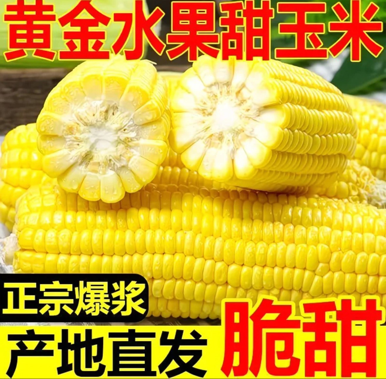 （今天爆款）云南高山水果甜玉米口感清甜可生吃适合榨汁蒸煮当早餐