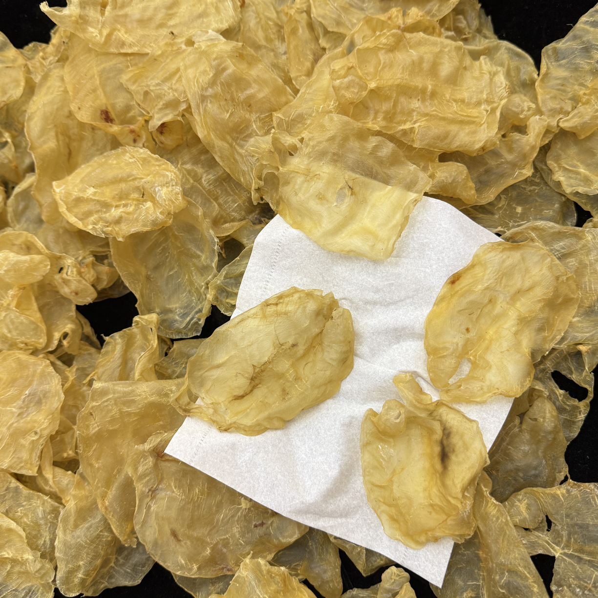 甲肚蜘蛛胶片鱼胶