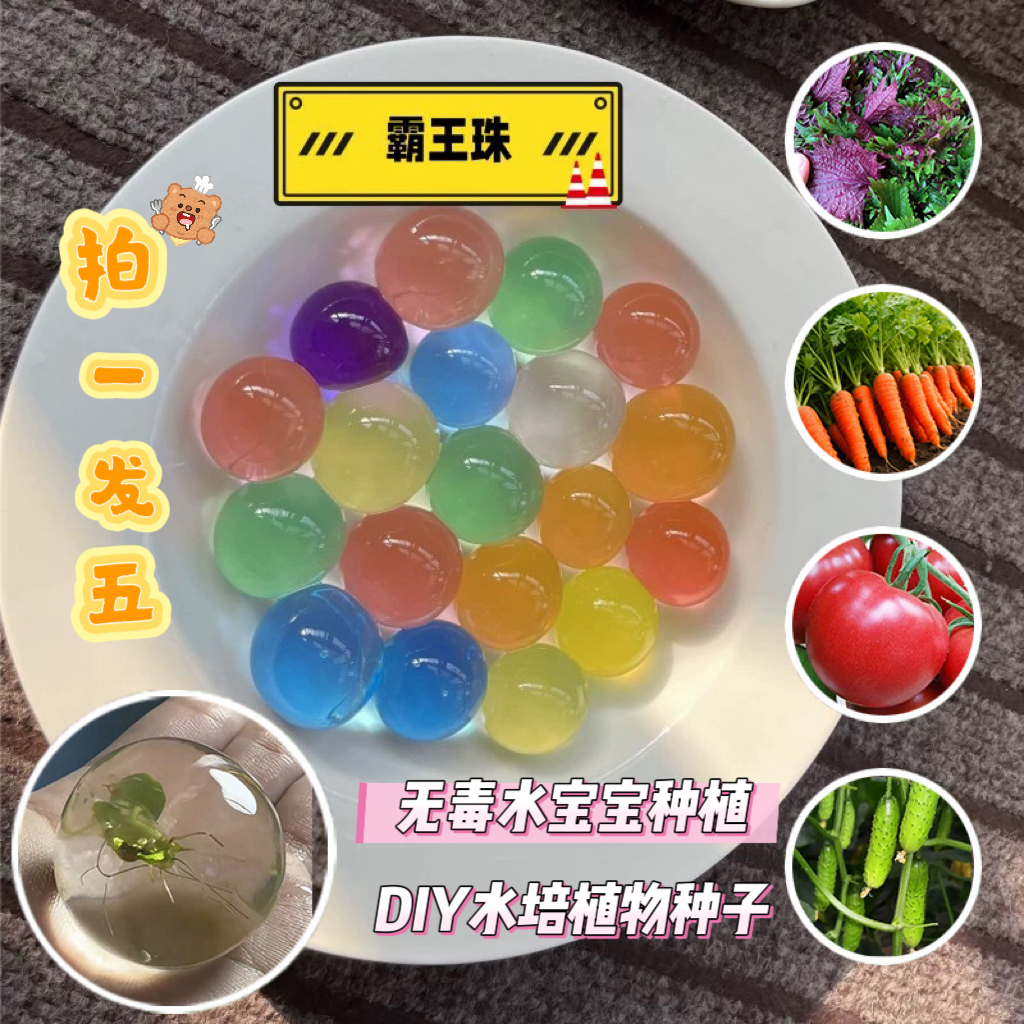 吸水珠水宝宝种菜植物种子果蔬泡大珠玩具霸王珠水晶宝宝海绵宝宝