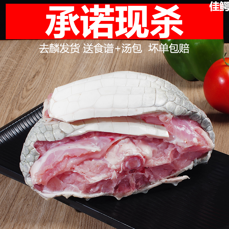佳鳄新鲜鳄鱼肉带皮肉人工养殖鳄鱼现杀鳄鱼烧烤火锅顺丰包邮