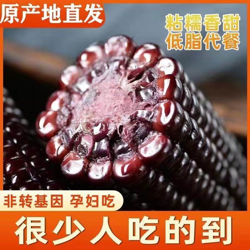 【12支6斤】东北黑糯产地直发黑玉米代餐低脂甜糯玉米试吃两根