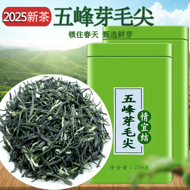 2025新茶五峰芽毛尖湖北宜昌绿茶高山云雾茶叶罐装礼盒装栗香耐泡