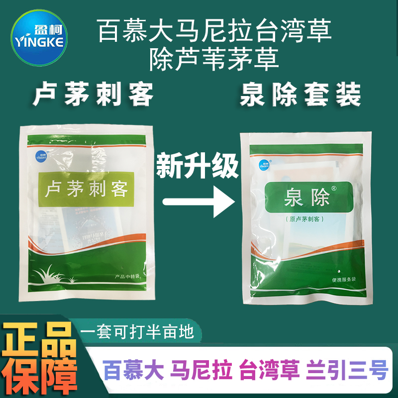 泉除原卢茅刺客套装百慕大马尼拉台湾草坪除芦苇茅草铺地黍杂草剂