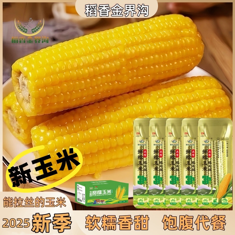 【稻香金界沟】2025新季黄糯玉米单根260g*10根香甜软糯金铝箔包装