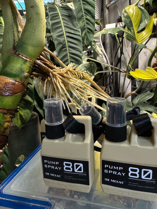 植物水培生根液 Power Root