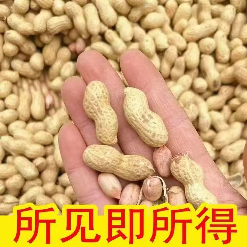 武宁高山花生  包邮   产地直发   江西省武宁县鲁溪镇双新村