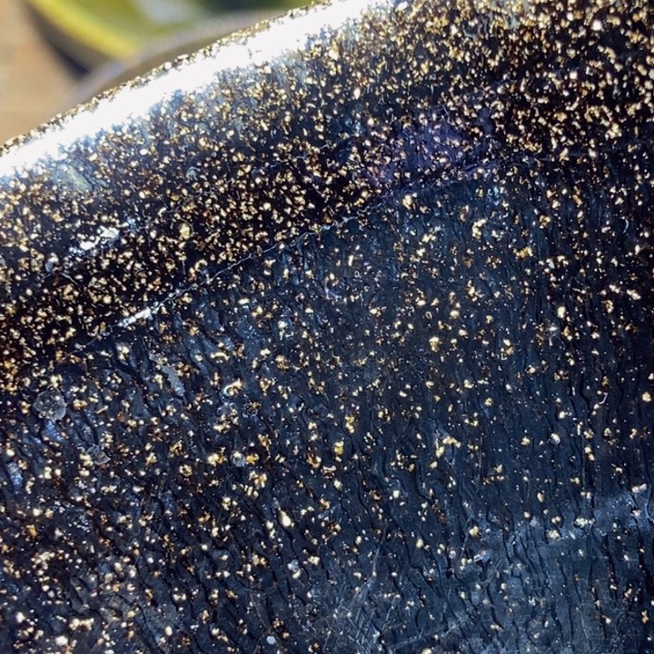 忽***热茶盏你是我的眼里有光