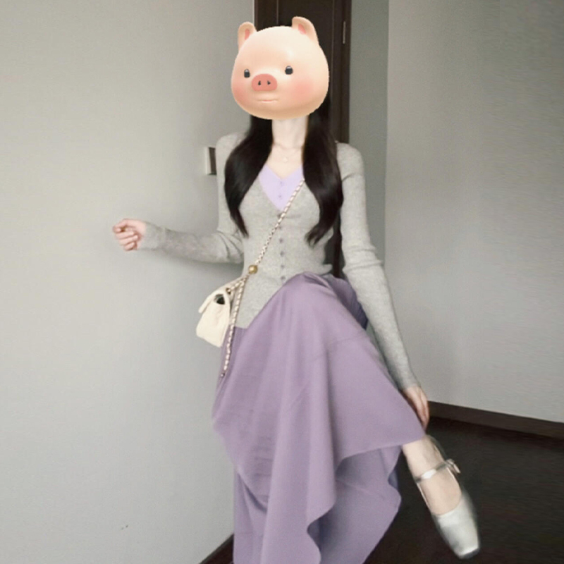 开春气质穿搭假两件紫色连衣裙子女2025新款早春季miu系套装长裙