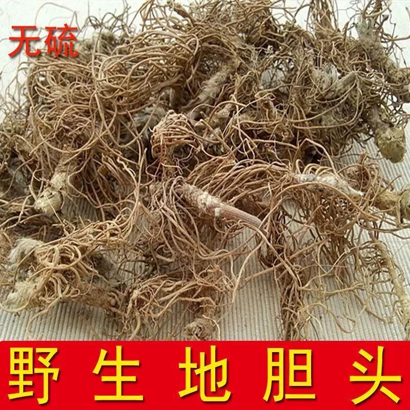 新鲜地胆头中药材干货 胆草根头 羊耳草 煲汤地胆头野生无硫散装