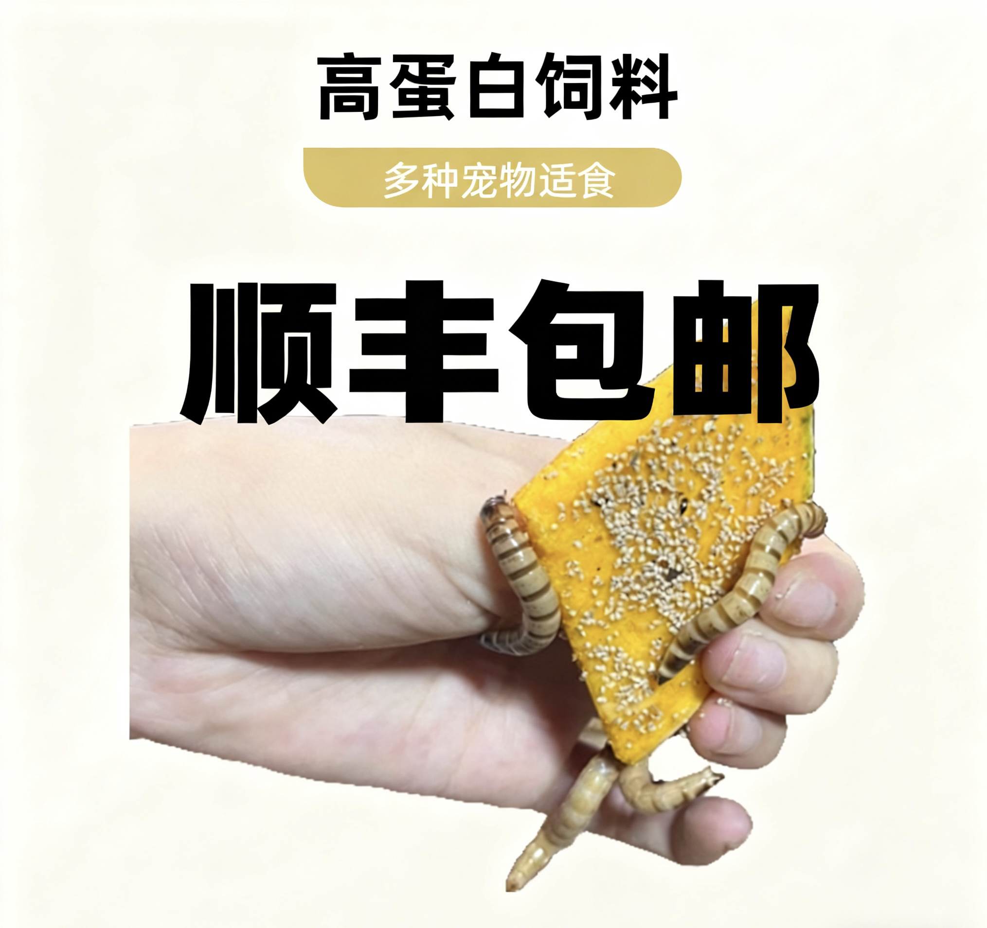 「优选好物」4-5厘米左右大麦虫宠物鱼类鸟类龟类鼠类虫子大麦虫