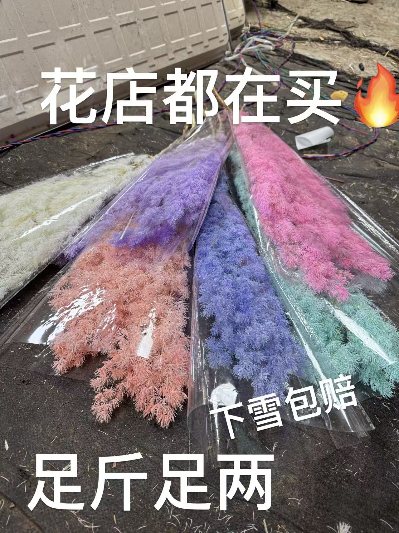 【花店福利】永生蓬莱松diy白日焰火圣诞节情人节必备100-120克大把