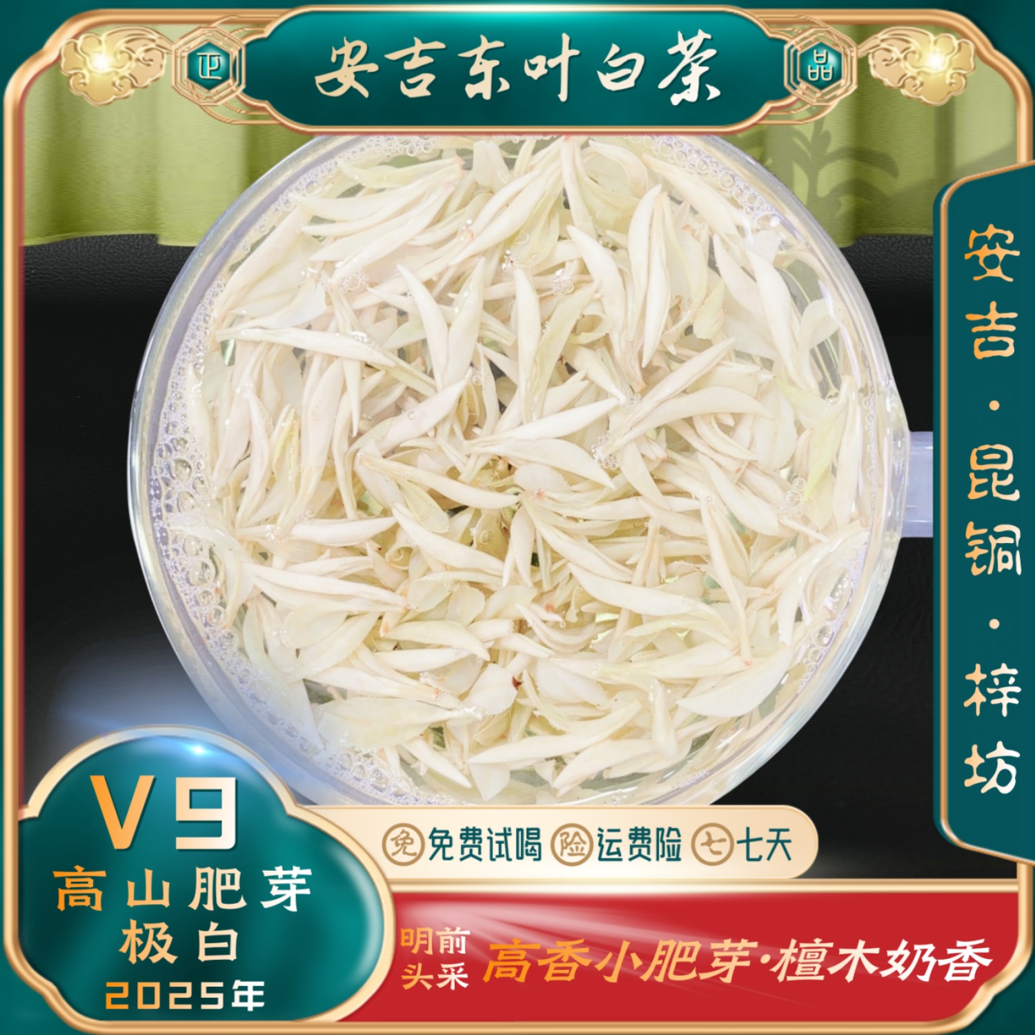 【招牌肥芽极白V9】2025新茶特级正宗安吉白茶昆铜高山新安四号浓香