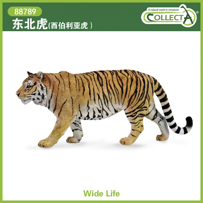 英国CollectA我你他仿真野生动物模型玩具认知88789东北虎老虎