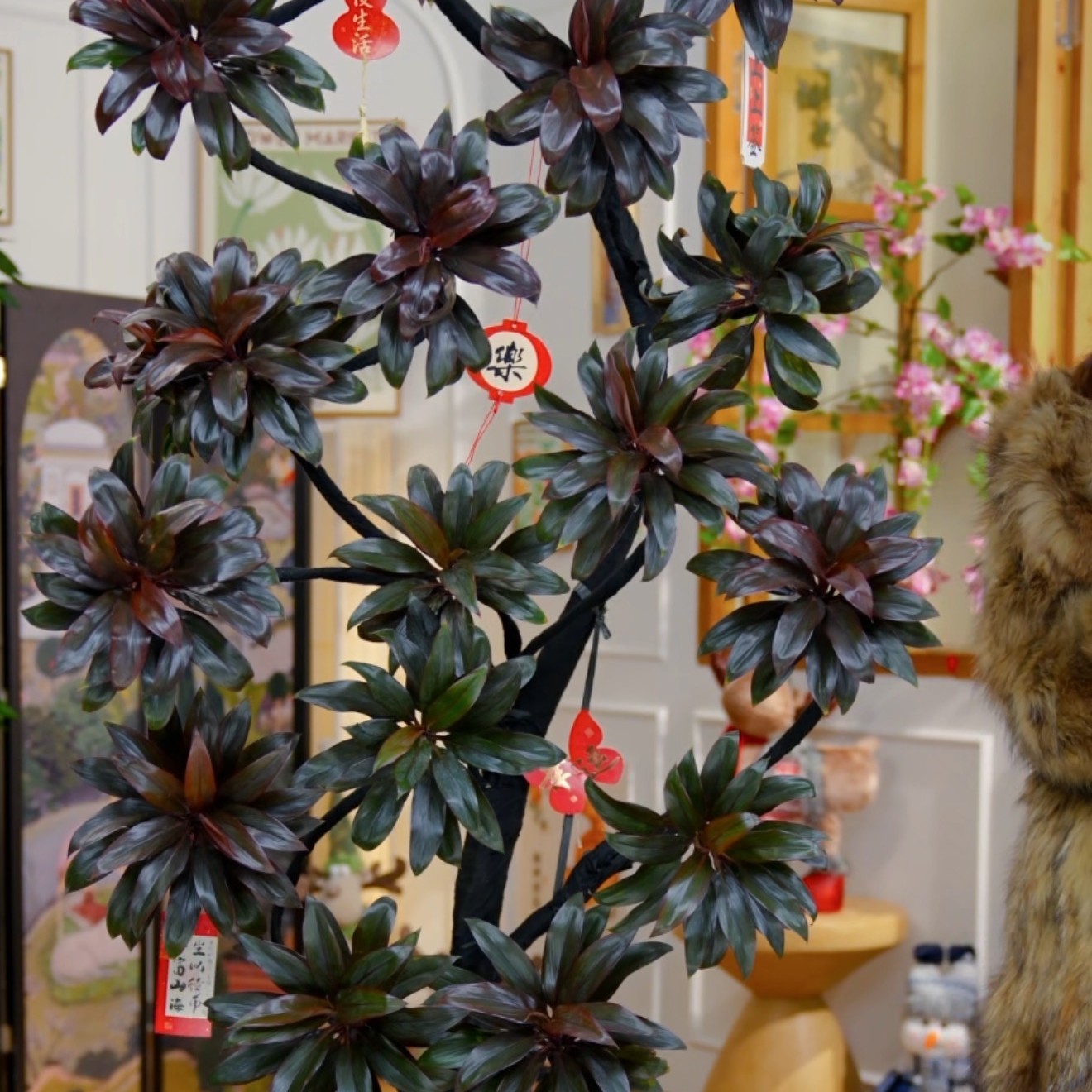 造型朱蕉娃娃盆栽室内大型耐阴好养客厅落地高级感绿植